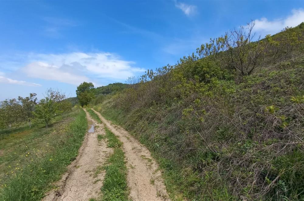 C21 Cius; Gemlik Katırlı'da Uludağ ve Deniz Manzaralı Tarla