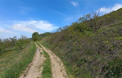 C21 Cius; Gemlik Katırlı'da Uludağ ve Deniz Manzaralı Tarla