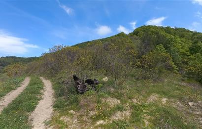 C21 Cius; Gemlik Katırlı'da Uludağ ve Deniz Manzaralı Tarla