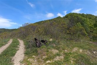 C21 Cius; Gemlik Katırlı'da Uludağ ve Deniz Manzaralı Tarla