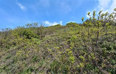 C21 Cius; Gemlik Katırlı'da Uludağ ve Deniz Manzaralı Tarla