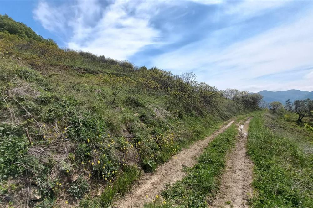 C21 Cius; Gemlik Katırlı'da Uludağ ve Deniz Manzaralı Tarla