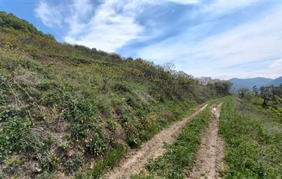C21 Cius; Gemlik Katırlı'da Uludağ ve Deniz Manzaralı Tarla