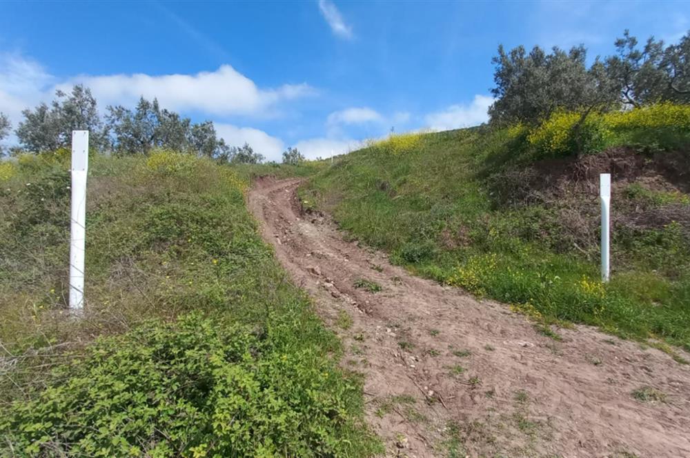 C21 Cius; Gemlik Katırlı'da Uludağ ve Deniz Manzaralı Tarla