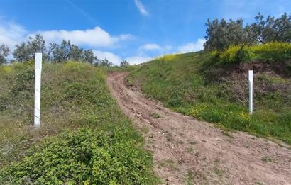 C21 Cius; Gemlik Katırlı'da Uludağ ve Deniz Manzaralı Tarla
