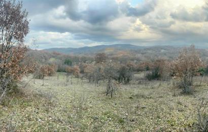 CENTURY21 BAL' DAN İVRİNDİ KAYAPA' DA 7034 M2 SATILIK TARLA