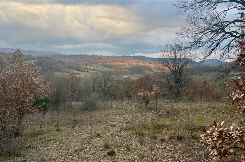 CENTURY21 BAL' DAN İVRİNDİ KAYAPA' DA 7034 M2 SATILIK TARLA