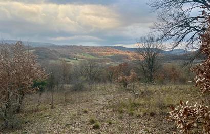 CENTURY21 BAL' DAN İVRİNDİ KAYAPA' DA 7034 M2 SATILIK TARLA