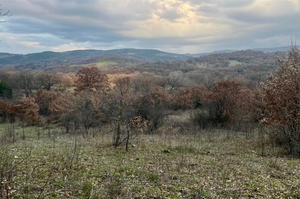 CENTURY21 BAL' DAN İVRİNDİ KAYAPA' DA 7034 M2 SATILIK TARLA