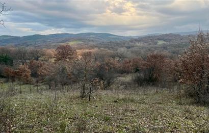 CENTURY21 BAL' DAN İVRİNDİ KAYAPA' DA 7034 M2 SATILIK TARLA