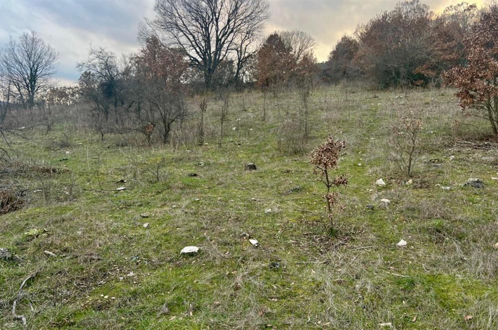 CENTURY21 BAL' DAN İVRİNDİ KAYAPA' DA 7034 M2 SATILIK TARLA