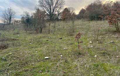 CENTURY21 BAL' DAN İVRİNDİ KAYAPA' DA 7034 M2 SATILIK TARLA