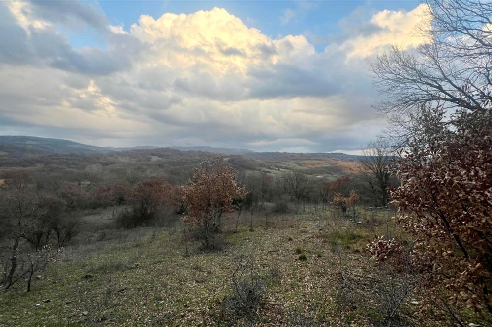 CENTURY21 BAL' DAN İVRİNDİ KAYAPA' DA 7034 M2 SATILIK TARLA