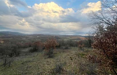 CENTURY21 BAL' DAN İVRİNDİ KAYAPA' DA 7034 M2 SATILIK TARLA