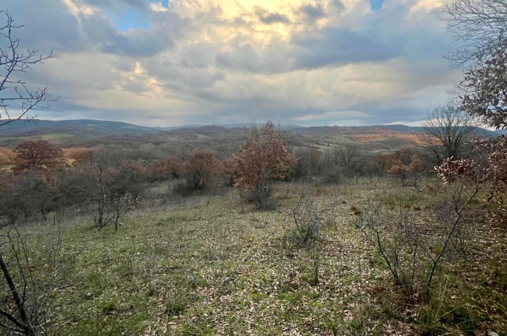 CENTURY21 BAL' DAN İVRİNDİ KAYAPA' DA 7034 M2 SATILIK TARLA