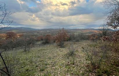 CENTURY21 BAL' DAN İVRİNDİ KAYAPA' DA 7034 M2 SATILIK TARLA