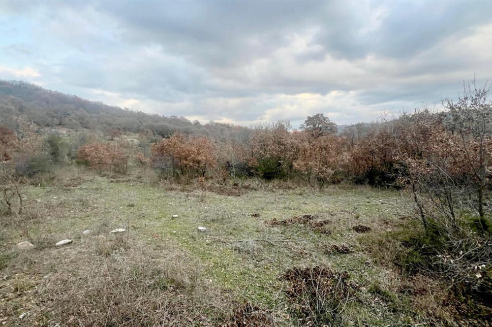 CENTURY21 BAL' DAN İVRİNDİ KAYAPA' DA 7034 M2 SATILIK TARLA