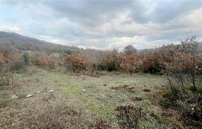 CENTURY21 BAL' DAN İVRİNDİ KAYAPA' DA 7034 M2 SATILIK TARLA