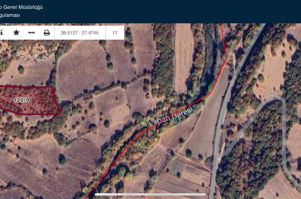 CENTURY21 BAL' DAN İVRİNDİ KAYAPA' DA 7034 M2 SATILIK TARLA