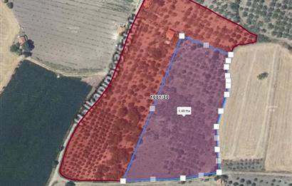 SAVAŞTEPE İSTİKLAL'DE SATILIK TARLA 