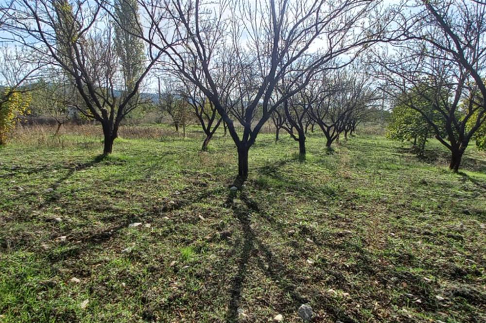 SAVAŞTEPE İSTİKLAL'DE SATILIK TARLA 