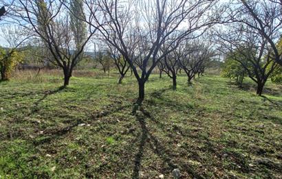SAVAŞTEPE İSTİKLAL'DE SATILIK TARLA 