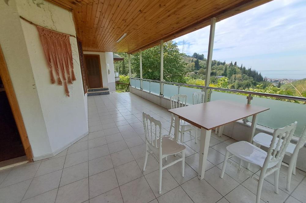 4 DÖNÜM ZEYTİNLİK İÇERİSİNDE SATILIK KAHVALTI SALONU VE BİNASI