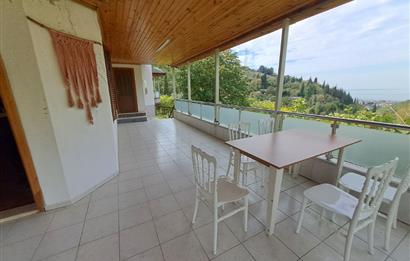 4 DÖNÜM ZEYTİNLİK İÇERİSİNDE SATILIK KAHVALTI SALONU VE BİNASI