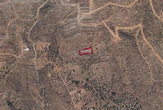 Bodrum Mazı muhtesem deniz manzaralı satılık tarla - 8 - 29293