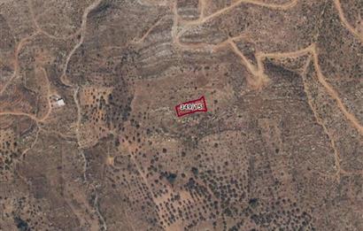 Bodrum Mazı muhtesem deniz manzaralı satılık tarla