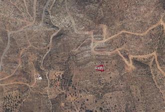 Bodrum Mazı muhtesem deniz manzaralı satılık tarla - 9 - 29292