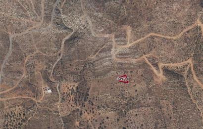 Bodrum Mazı muhtesem deniz manzaralı satılık tarla