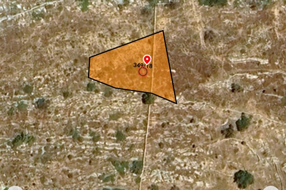 Bodrum Mazı muhtesem deniz manzaralı satılık tarla