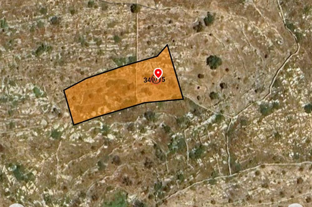 Bodrum Mazı muhtesem deniz manzaralı satılık tarla