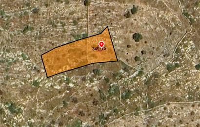 Bodrum Mazı muhtesem deniz manzaralı satılık tarla