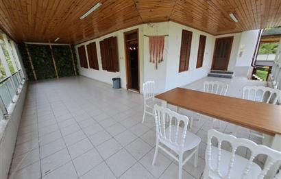 4 DÖNÜM ZEYTİNLİK İÇERİSİNDE SATILIK KAHVALTI SALONU VE BİNASI