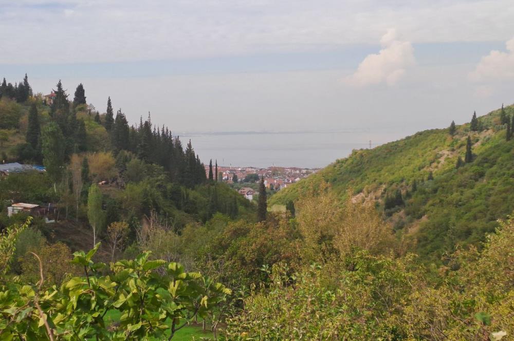 4 DÖNÜM ZEYTİNLİK İÇERİSİNDE SATILIK KAHVALTI SALONU VE BİNASI