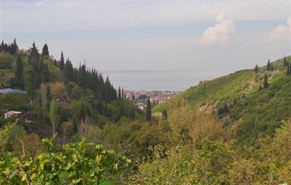 4 DÖNÜM ZEYTİNLİK İÇERİSİNDE SATILIK KAHVALTI SALONU VE BİNASI