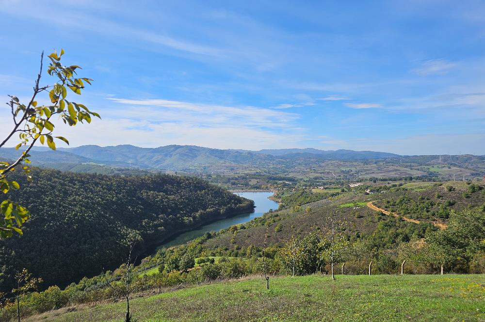KOCAELİ KARAMÜRSELDE SATILIK CEVİZ BAHÇESİ TARLA