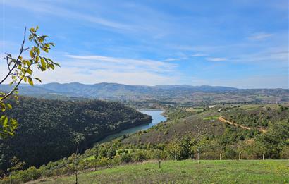 KOCAELİ KARAMÜRSELDE SATILIK CEVİZ BAHÇESİ TARLA