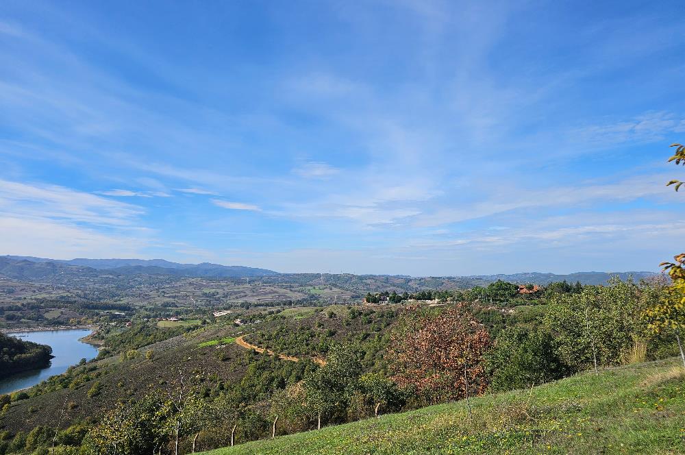 KOCAELİ KARAMÜRSELDE SATILIK CEVİZ BAHÇESİ TARLA