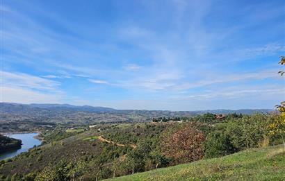 KOCAELİ KARAMÜRSELDE SATILIK CEVİZ BAHÇESİ TARLA