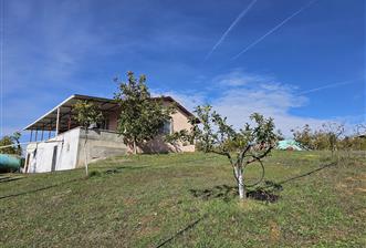 KOCAELİ KARAMÜRSELDE SATILIK CEVİZ BAHÇESİ TARLA - 1 - 29299