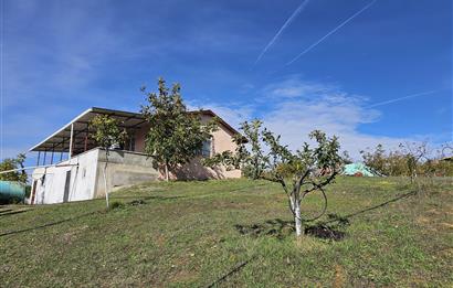 KOCAELİ KARAMÜRSELDE SATILIK CEVİZ BAHÇESİ TARLA