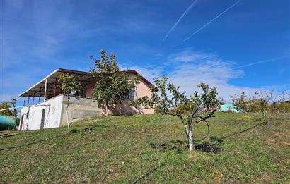 KOCAELİ KARAMÜRSELDE SATILIK CEVİZ BAHÇESİ TARLA