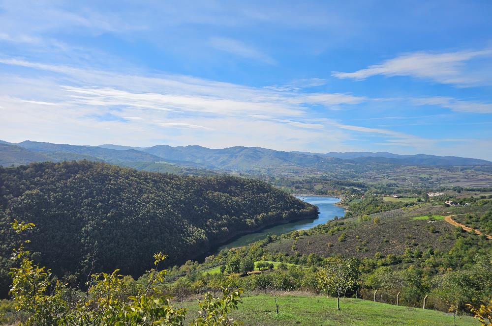 KOCAELİ KARAMÜRSELDE SATILIK CEVİZ BAHÇESİ TARLA