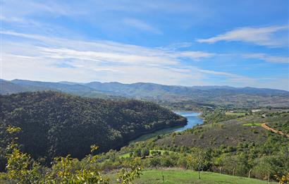KOCAELİ KARAMÜRSELDE SATILIK CEVİZ BAHÇESİ TARLA