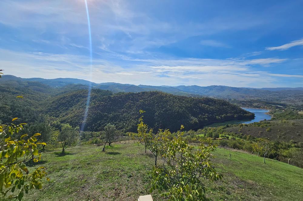 KOCAELİ KARAMÜRSELDE SATILIK CEVİZ BAHÇESİ TARLA