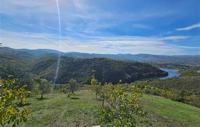 KOCAELİ KARAMÜRSELDE SATILIK CEVİZ BAHÇESİ TARLA
