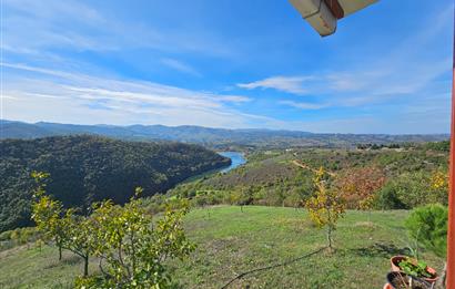 KOCAELİ KARAMÜRSELDE SATILIK CEVİZ BAHÇESİ TARLA